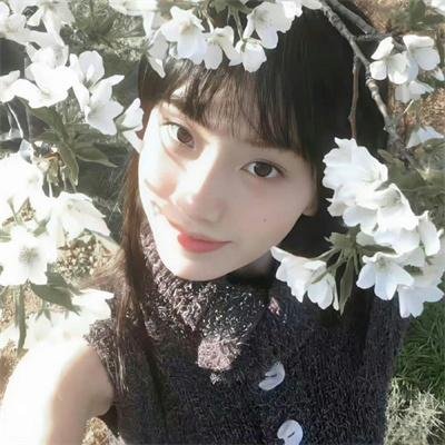 侠女传奇